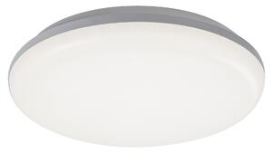 Rabalux Eric Външни таванни лампи (плафони) IP64 LED 24W 4000 7979