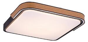 Rabalux Arild Таванно осветление (плафони) IP20 LED 48W 3000-6500 71146