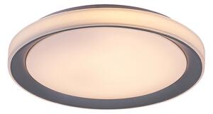 Rabalux Everest Смарт осветление IP20 LED 40W 2700-6500 3510