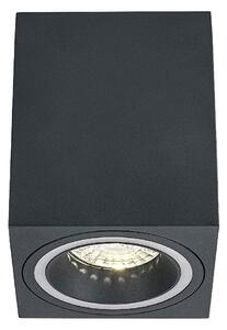 Rabalux Kobald Вградени и повърхностно монтирани лампи IP20 GU10 1X MAX 25W K 71164