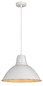 Rabalux Wilbour Висящи осветителни тела IP20 E27 1x MAX 60W K 72014