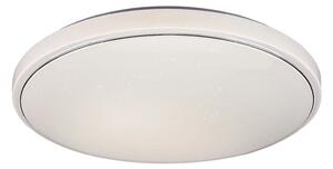 Rabalux Bruce Таванно осветление (плафони) IP20 LED 40W 3000-6000K 2117