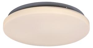 Rabalux Rob Таванно осветление (плафони) IP20 LED 20W 3338
