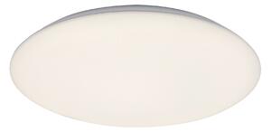 Rabalux Rorik Таванно осветление (плафони) IP20 LED 18W 4000 71123