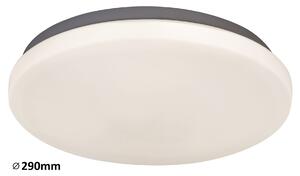 Rabalux Rob Таванно осветление (плафони) IP20 LED 20W 2284