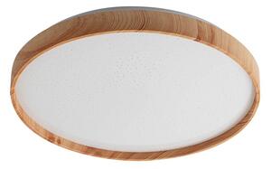 Rabalux Leana2 Таванно осветление (плафони) IP20 LED 24W 3000 71144