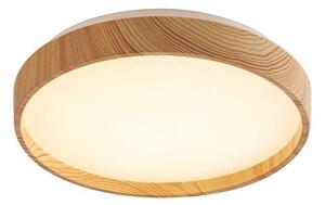 Rabalux Leana2 Таванно осветление (плафони) IP20 LED 12W 3000 71143