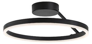 Rabalux Isaure Таванно осветление (плафони) IP20 LED 24W 3000-6500 71302