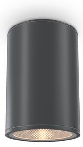 Maytoni Плафониера - O306CL-L12GF