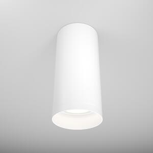 Maytoni Плафониера - C010CL-01W