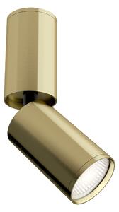 Maytoni Плафониера - C051CL-01BS