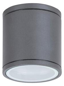Rabalux Akron Външни таванни лампи (плафони) IP54 GU10 1x MAX 35W K 8150
