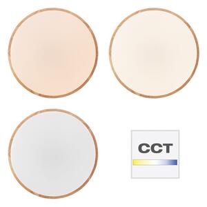 Brilliant - LED с възможност за димиране таванно осветително тяло SLIMLINE LED/60W/230V + дистанционно управление