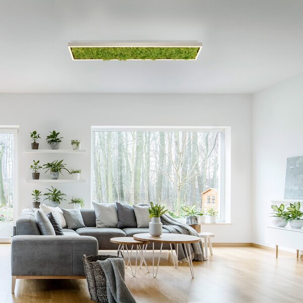JUST LIGHT. GmbH Зелена LED лампа за таван Knut с истински мъх, Затъмняване, Зелен, Дневна/трапезария, Модерен