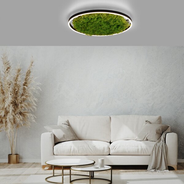 JUST LIGHT. GmbH Светодиодна лампа за таван Green Ritus, мъх с възможност димиране Ø58,5cm, Затъмняване, Зелен, Дневна/трапезария, Модерен