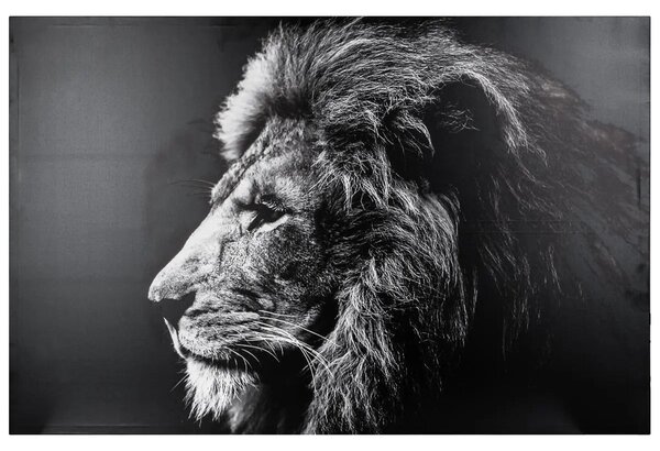 Картина atmosphera Lion, Принт на платно 78x118 см