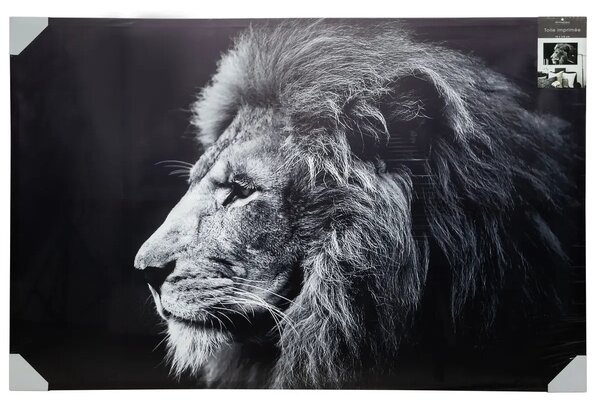 Картина atmosphera Lion, Принт на платно 78x118 см