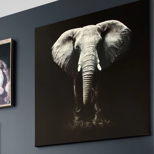 Картина atmosphera Elephant, Принт на платно 100x100 см