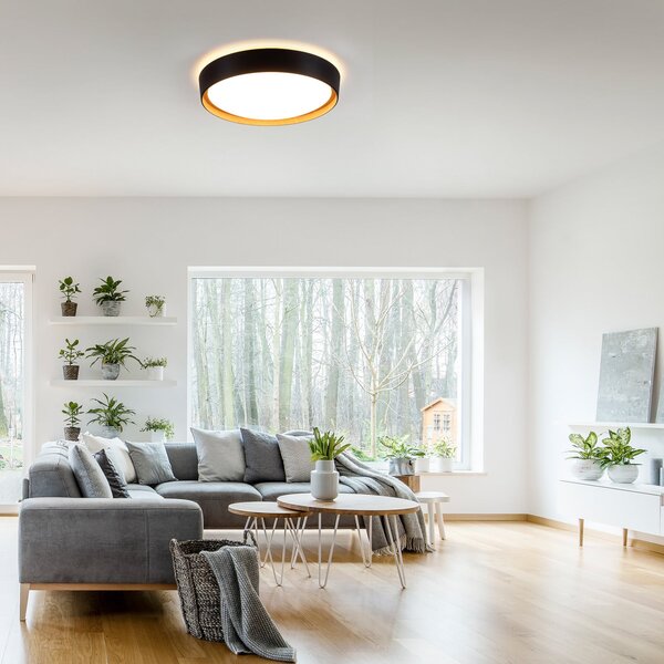 JUST LIGHT. GmbH LED осветление за таван Emilia 3-степенно димируемо черно, Затъмняване, Черен, Дневна/трапезария, Метал, Модерен