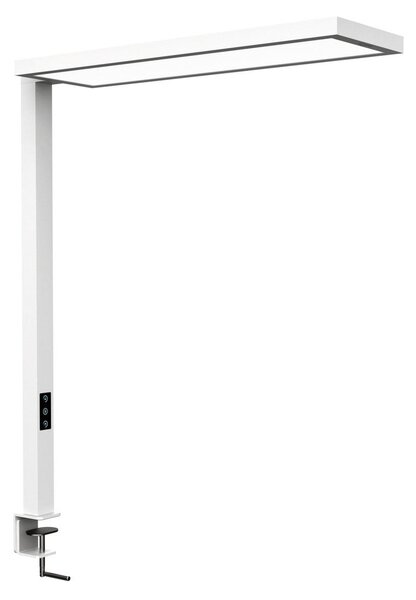 Maul LED лампа с щипка MAULsenja, бяла, алуминий, димируема, сензор, CCT, Затъмняване, Бял, кабинет / офис, Алуминий, Модерен