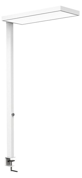 Maul LED лампа с щипка MAULjura, бяла, алуминий, регулируема яркост, 100 cm, Затъмняване, Бял, кабинет / офис, Алуминий, Модерен
