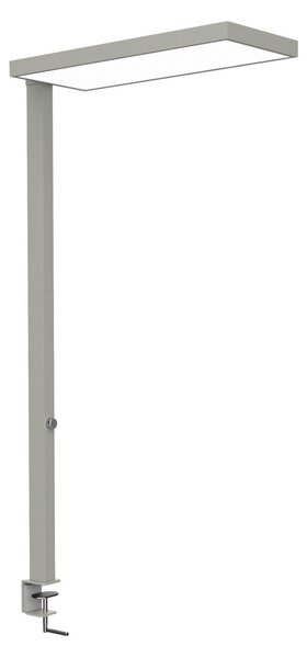 Maul LED лампа с щипка MAULjura, сребриста, регулируема яркост, 100 cm, Затъмняване, Металик, кабинет / офис, Алуминий, Модерен