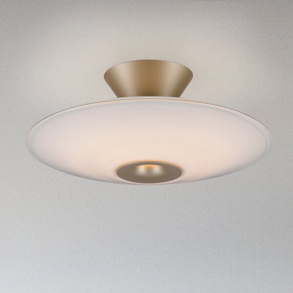 Paul Neuhaus LED таванска лампа Elipsa, бяла/бронзова, Ø 35 cm, Затъмняване, Бронзов / античен месинг, Дневна/трапезария, Стъкло