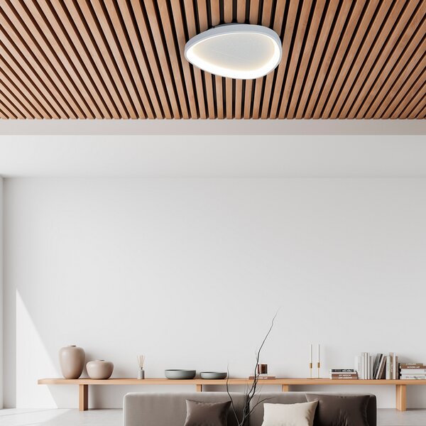 Näve LED таванска лампа Argesa, Ø 42 cm, бяла, CCT, дистанционно управление, Затъмняване, Бял, Дневна/трапезария, Метал, Модерен