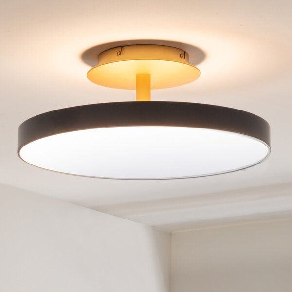 UMAGE LED плафон Asteria UP PLUS, антрацит Ø 43 cm CCT, Затъмняване, Черен, Дневна/трапезария, Метал, Дизайн