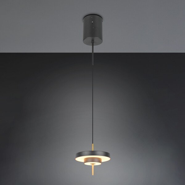 Trio Lighting LED висяща лампа Keaton черно/златисто, Ø 20 cm метал CCT, Затъмняване, Черен, Дневна/трапезария, Метал