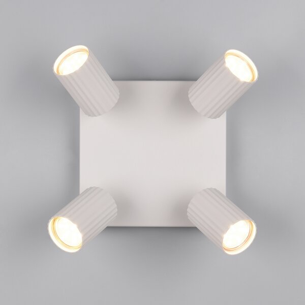 Trio Lighting Тавански прожектор Soka, светлосив, дължина 20 cm, метал, 4-крилен., Затъмняване, Сив, Дневна/трапезария, Метал, Модерен