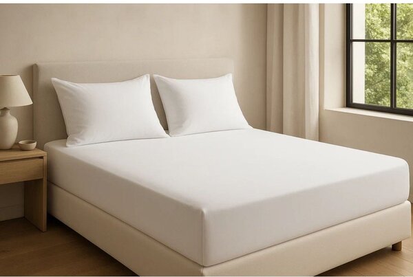 Бял еластичен чаршаф от памук Renforcé 200x140 cm Ranforce – Mila Home Luxury