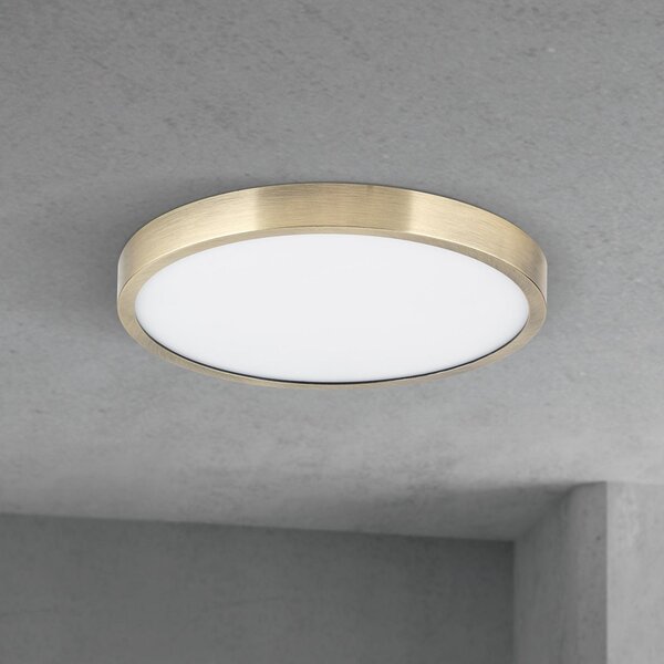 ORION LED плафон Disc, цвят античен месинг, Ø 24 cm, CCT, Затъмняване, Бронзов / античен месинг, Дневна/трапезария, Алуминий, Модерен