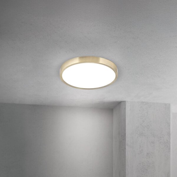 ORION LED плафон Disc, цвят античен месинг, Ø 24 cm, CCT, Затъмняване, Бронзов / античен месинг, Дневна/трапезария, Алуминий, Модерен