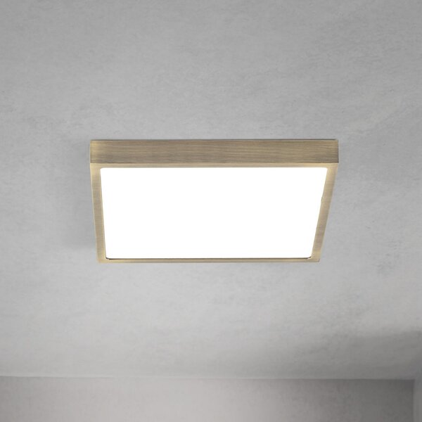 ORION LED плафон Disc, цвят античен месинг, дължина 24 cm, CCT, Затъмняване, Бронзов / античен месинг, Дневна/трапезария, Алуминий, Модерен