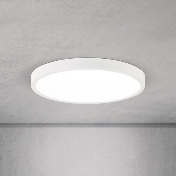 ORION LED таванска лампа Disc, бяла Ø 28 cm, CCT, метал/пластмаса, Затъмняване, Бял, Дневна/трапезария, Алуминий, Модерен