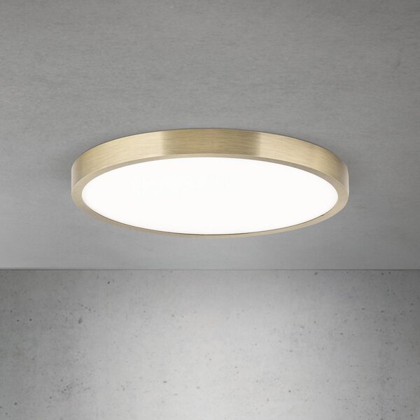 ORION LED плафон Disc, цвят античен месинг, Ø 28 cm, CCT, Затъмняване, Бронзов / античен месинг, Дневна/трапезария, Алуминий, Модерен