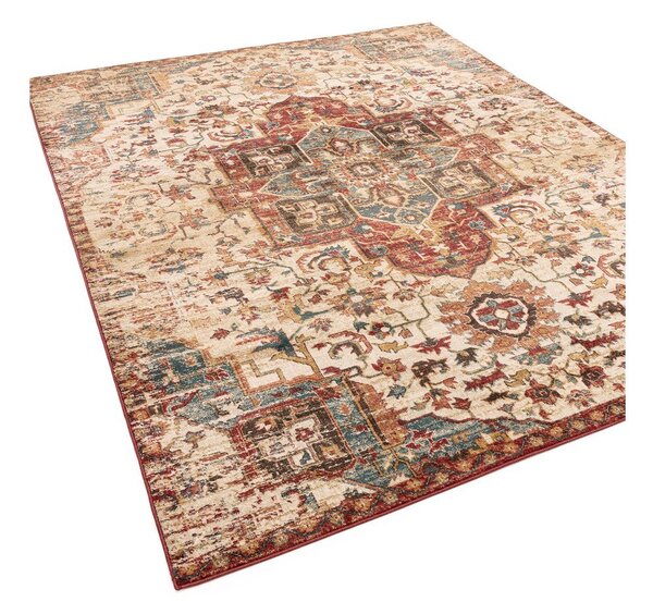 Килим 120x160 cm Raja – Asiatic Carpets