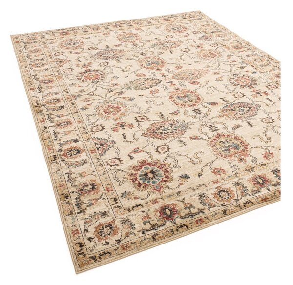 Бежов килим 120x160 cm Raja – Asiatic Carpets