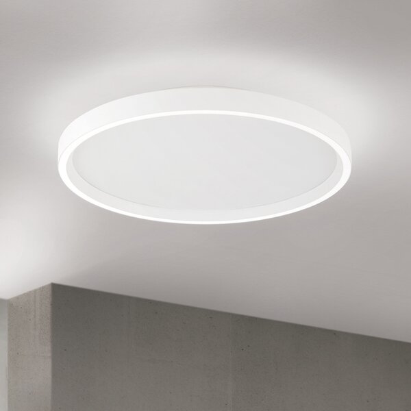 ORION LED таванска лампа Masca, бяла, Ø 40 cm, CCT, метал, с димер, Затъмняване, Бял, Дневна/трапезария, Метал, Модерен