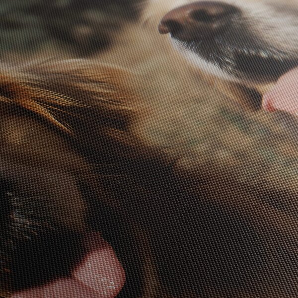 Картина на платно – Злато в козината на кучетата