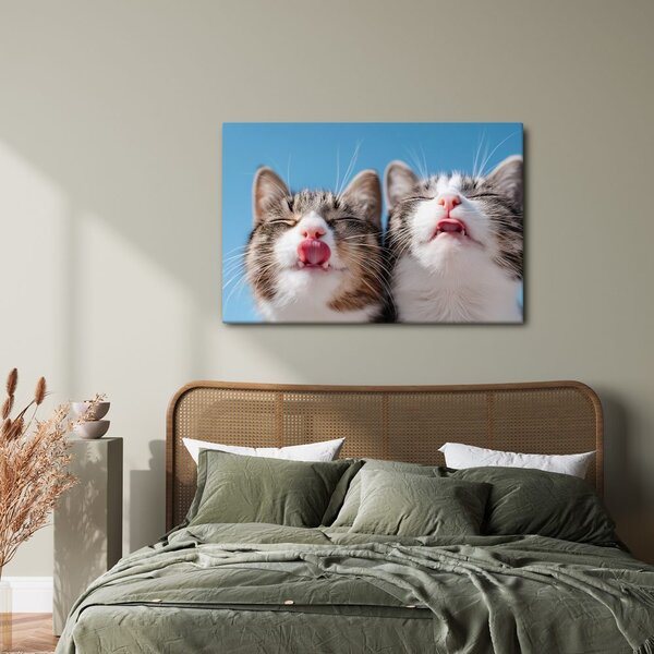 Картина на платно – Игриви котки на син фон