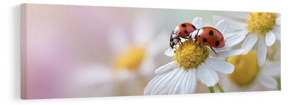Картина на платно – Природа, пълна с живот