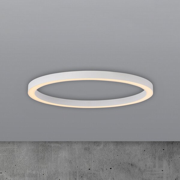 PURE LED таванна лампа Lines, Ø 70 см, бяла, дистанционно управление за CCT, Затъмняване, Бял, Дневна/трапезария, Метал, Модерен