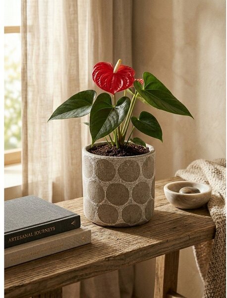 Теракотено ръчно изработено покритие за кашпа ø 12 cm Felan – Bloomingville