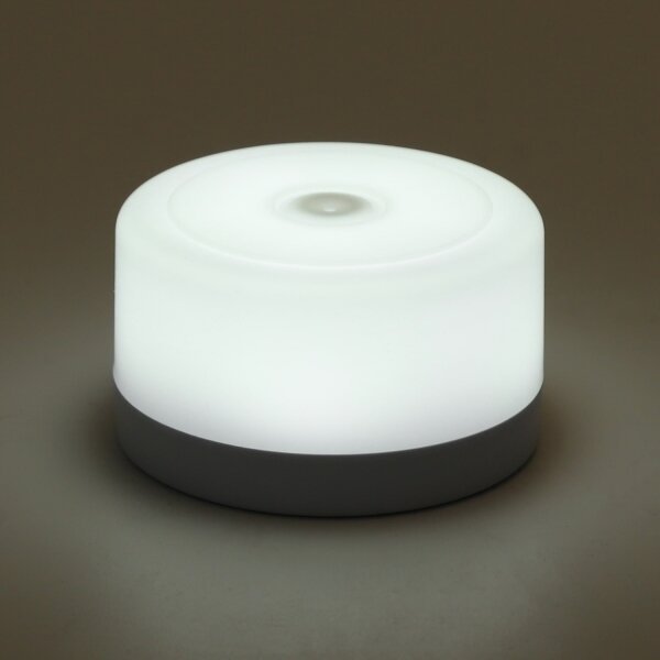 Aigostar - LED Димируем преносима нощна лампа LED/1W/5V 6500K+ USB