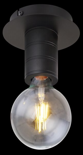 Globo 54030-1D - Таванна лампа HERMINE 1xE27/60W/230V