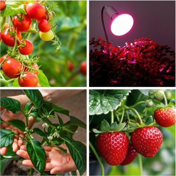 Гъвкава настолна лампа с клипс PLANTY 1xE27/30W/230V бяла