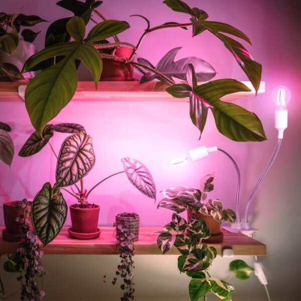 Гъвкава настолна лампа с клипс PLANTY 2xE27/30W/230V бяла за растения