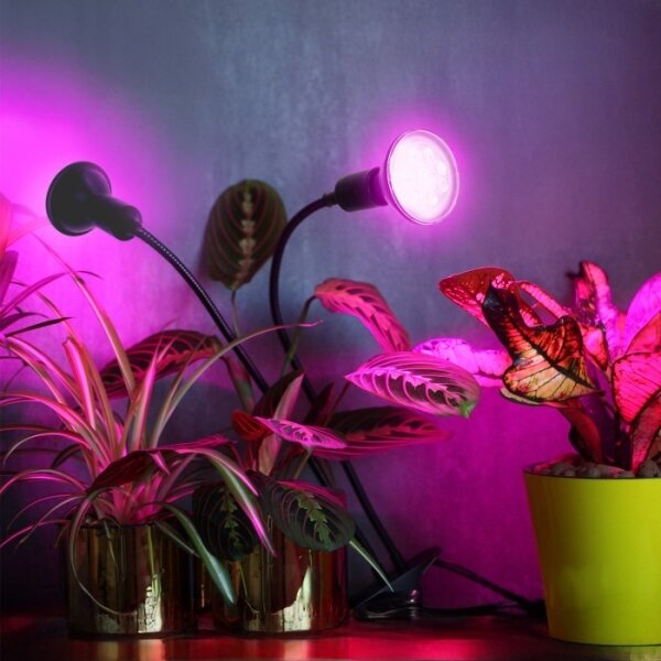 Гъвкава настолна лампа с клипс за растения PLANTY 2xE27/30W/230V черна